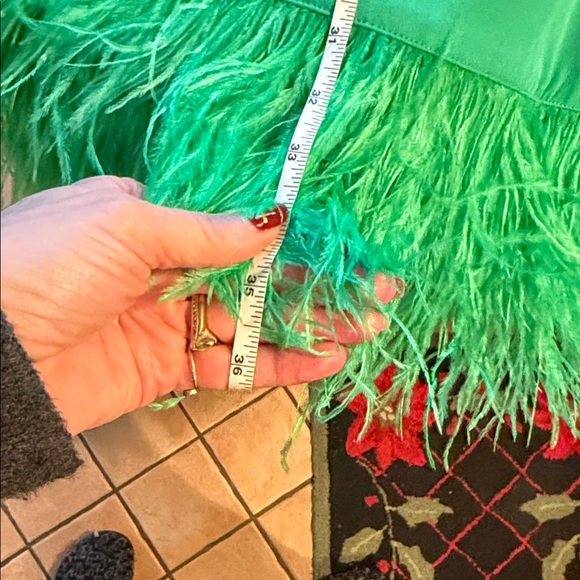 J. Crew Collection Crepe Feather Trim Green Sleeveless Lined Sz M Dress NWT - Picture 13 of 14